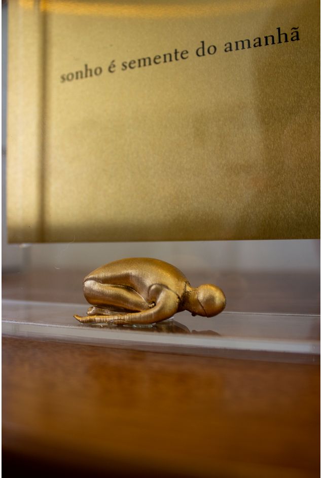 Quadro Acrilico Sonho E Semente do Amanha